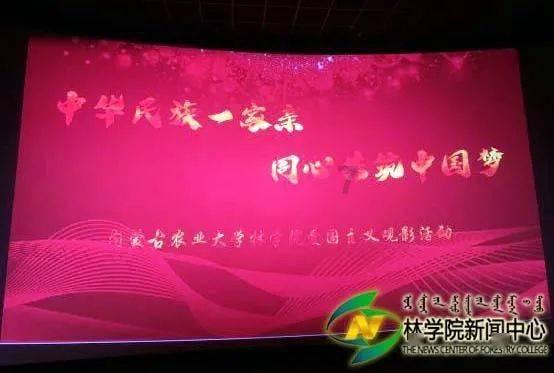 小乌龟逃亡记